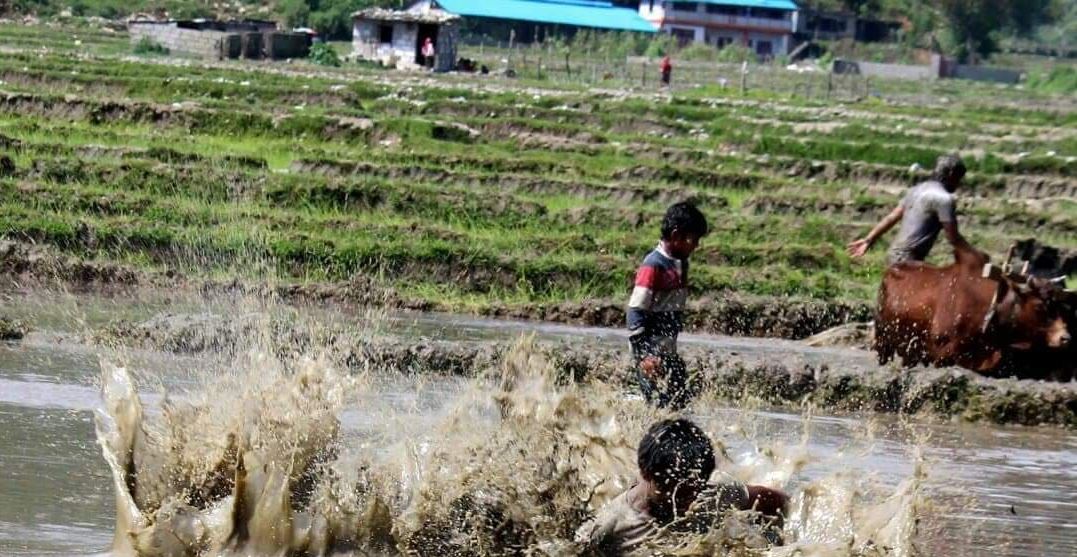 यस्ताे रहेकाे छ असार १५ को महत्व